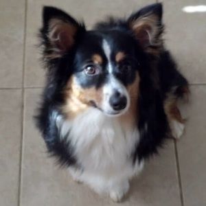 Meet your Posher, Debbie